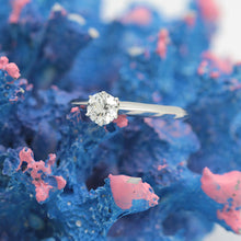 Lade das Bild in den Galerie-Viewer, Tiffany & Co.Verlobungsring Platin 950 - Gr.49 - Box & Zertifikat 0,37 ct - VS2