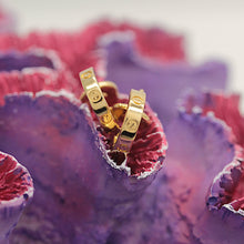 Lade das Bild in den Galerie-Viewer, Cartier Mini Love Ohrringe in 18KT Gelbgold mit Cartier Box
