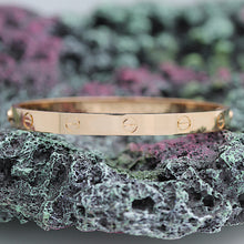 Lade das Bild in den Galerie-Viewer, Cartier Love Armreif Armband Bracelet in Rosegold 750 Größe 18
